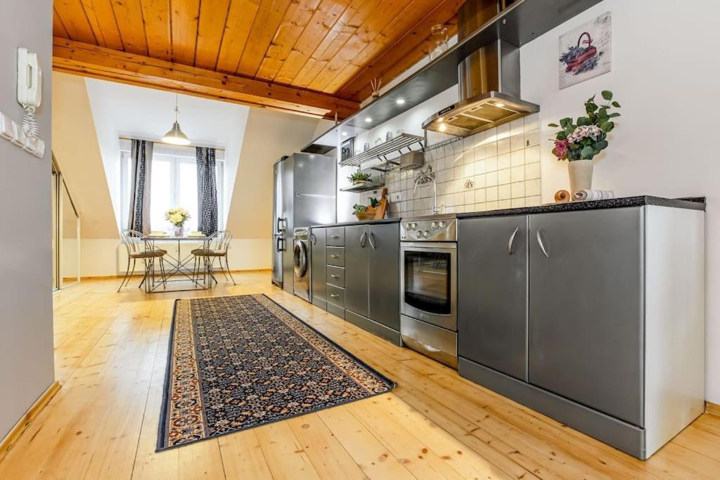 Utulny A Prostorny Podkrovni Byt S Krbovymi Kamny Ceske Budejovice Exterior photo